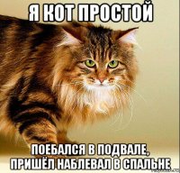я кот простой поебался в подвале, пришёл наблевал в спальне