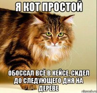 я кот простой обоссал всё в кейсе, сидел до следующего дня на дереве