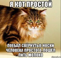 я кот простой поебал свёрнутые носки человека простого, пошёл пить молоко