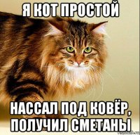 я кот простой нассал под ковёр, получил сметаны
