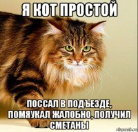 я кот простой поссал в подъезде, помяукал жалобно, получил сметаны