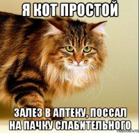 я кот простой залез в аптеку, поссал на пачку слабительного