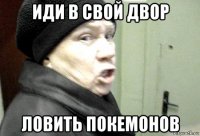иди в свой двор ловить покемонов
