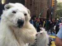 Создать мем Fes