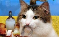 Все мемы Хохлокит посылает ватника на хуй