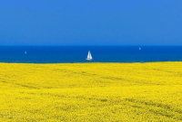 Создать мем Крим - це Україна
