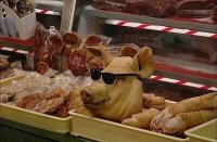 да мне вообще похуй чисто поебать, Мем Крутая свинья