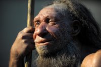 Создать мем Неандерталец