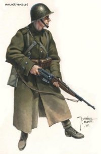Создать мем Польский солдат