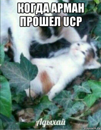 когда арман прошел ucp 