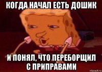 когда начал есть дошик и понял, что переборщил с приправами