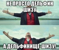 не просто дельфин шизу а дельфинище-шизу!