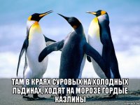  там в краях суровых на холодных льдинах, ходят на морозе гордые казлины