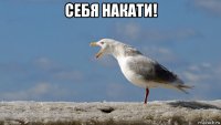 себя накати! 
