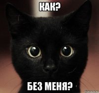 как? без меня?