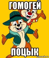 гомогей поцык