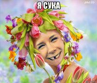 я сука 