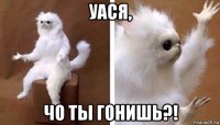 уася, чо ты гонишь?!