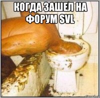 когда зашел на форум svl 