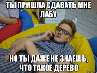 ты пришла сдавать мне лабу но ты даже не знаешь, что такое дерево