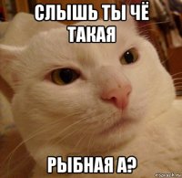 слышь ты чё такая рыбная а?