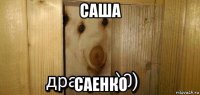 саша саенко