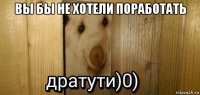 вы бы не хотели поработать 