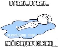 почему... почему... мой сэндвич съели((