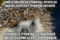 біжить їжачок по травичці і регоче бо їжачка за піську травичка лоскоче кінчилась травичка і гравій пішов їжачок додому без піськи прийшов