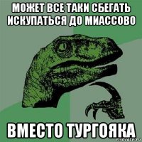 может все таки сбегать искупаться до миассово вместо тургояка