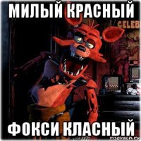 милый красный фокси класный