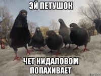 эй петушок чет кидаловом попахивает