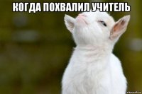 когда похвалил учитель 