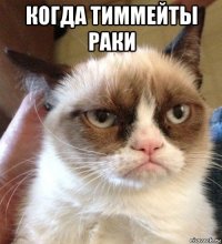 когда тиммейты раки 