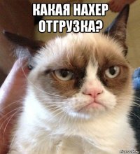 какая нахер отгрузка? 