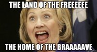 the land of the freeeeee the home of the braaaaave