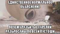 единственное нормальное объяснение почему разбитые тарелки разбросаны по всей пустоши