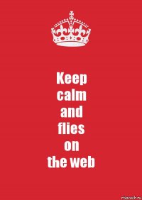 Keep
calm
and
flies
on
the web