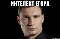 интелект егора 