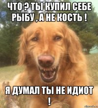 что ? ты купил себе рыбу , а не кость ! я думал ты не идиот !