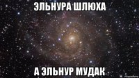 эльнура шлюха а эльнур мудак