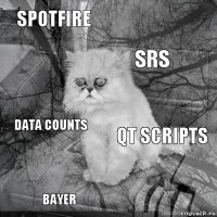 Spotfire QT Scripts SRS Bayer Data counts     