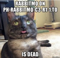 rabbitmq on ph-rabbitmq-c3-r1-1.to is dead