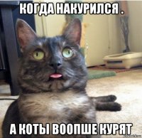 когда накурился . а коты воопше курят