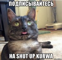 подписывайтесь на shut up kurwa