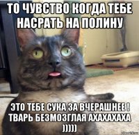 то чувство когда тебе насрать на полину это тебе сука за вчерашнее ! тварь безмозглая ахахахаха )))))