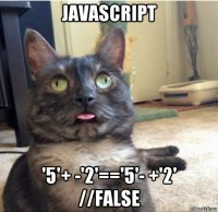 javascript '5'+ -'2'=='5'- +'2' //false