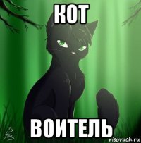 кот воитель