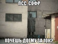 псс, софр хочешь догму за 10к?