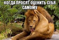 когда просят оценить себя самому 